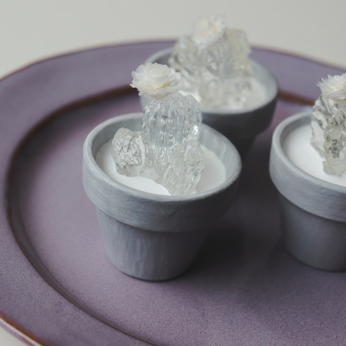 Creema限定 透明なサボテン 立体・オブジェ somari to moti 通販