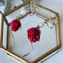 薔薇と淡水パールのイヤリング　フラワーイヤリング　バラのピアス 11枚目の画像