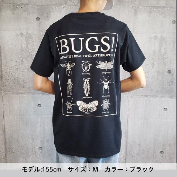 標本風昆虫モチーフバックプリントTシャツ　【ナチュラル】 7枚目の画像