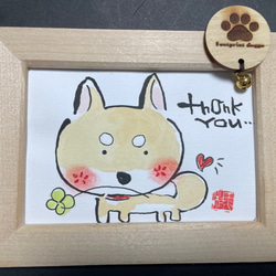 柴犬❤️ thankyou 1枚目の画像