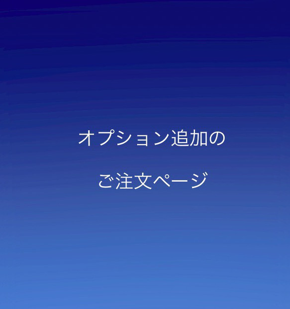 オプション追加のご注文ページ 1枚目の画像