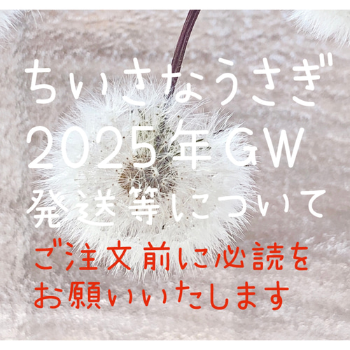 ちいさなうさぎ 2025年GW 発送等について【ご注文前に必読を ちいさなうさぎ 2025年GW 発送等について【ご注文前に必読を