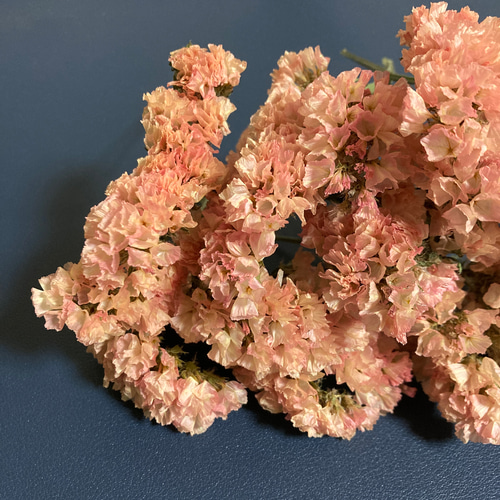 スターチス❇️オレンジ×ピンク❣️ドライフラワー 20輪以上｜ドライチース｜バレンシアオレンジ［スターチスのドライ