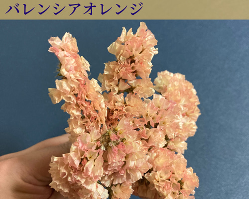 d215041c0449eac73cc8029d9f059e