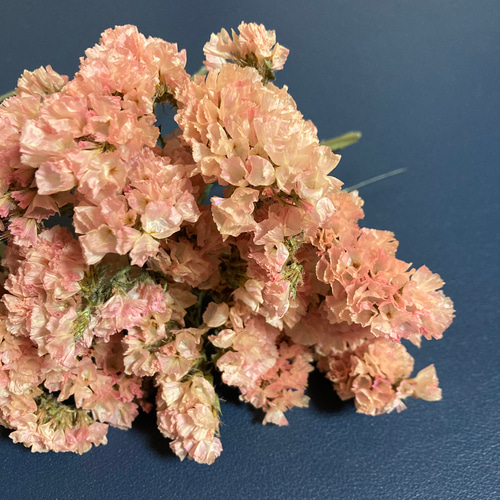 スターチス❇️オレンジ×ピンク❣️ドライフラワー 20輪以上｜ドライチース｜バレンシアオレンジ［スターチスのドライ