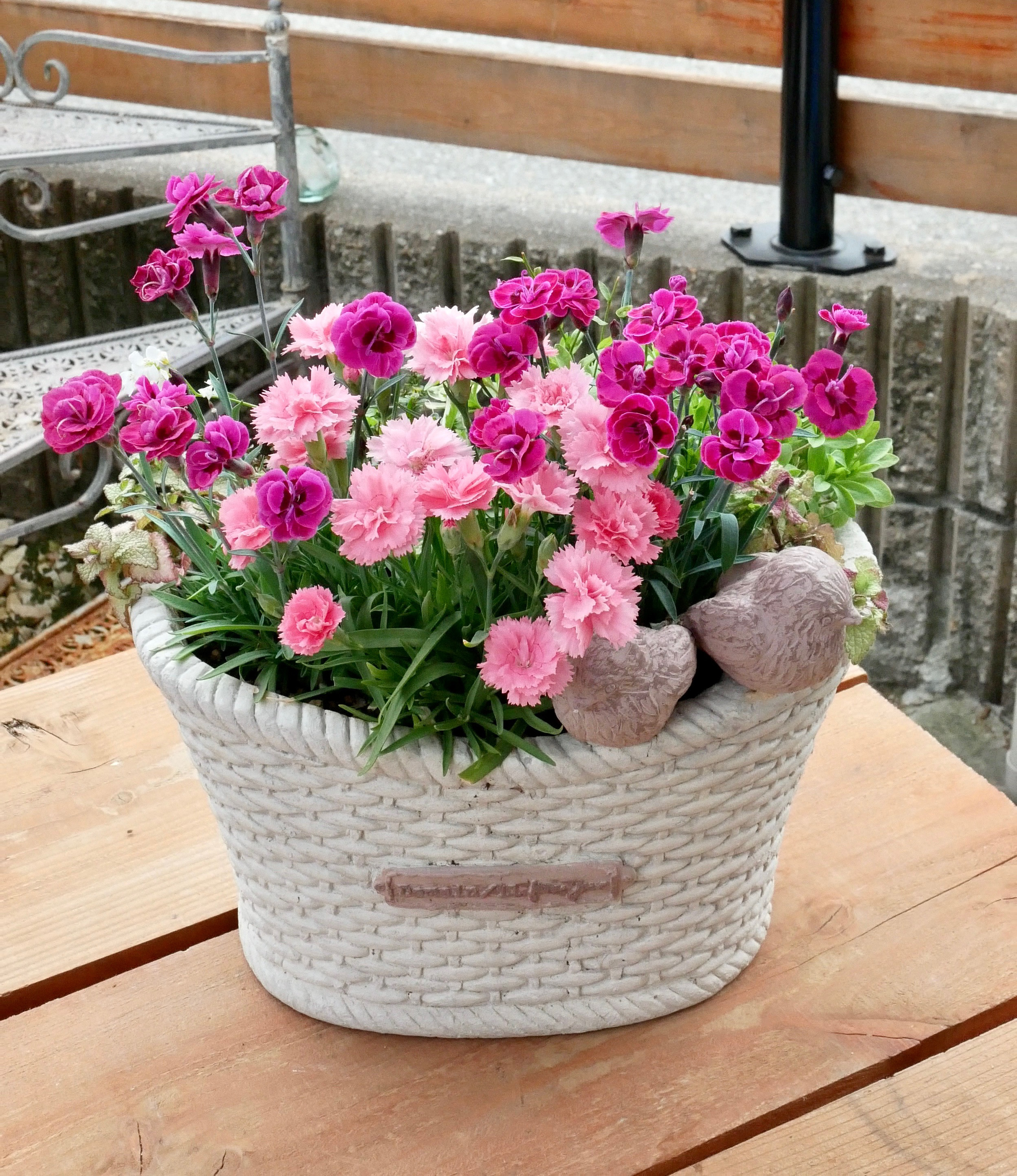 季節のお花寄せ植え グラスファイバー 季節のお花寄せ植え グラスファイバー