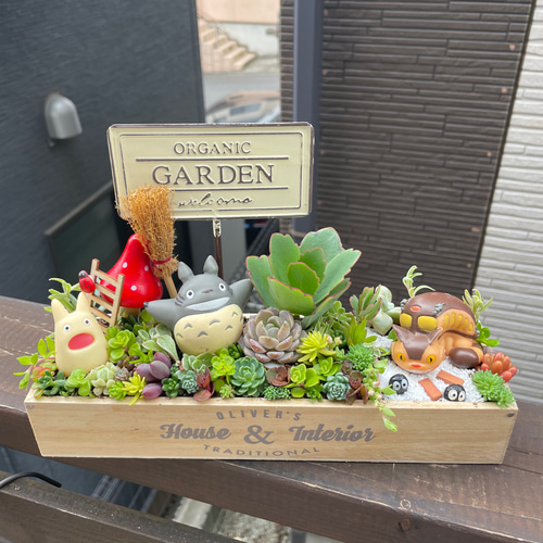 受注制作箱庭風多肉植物寄せ植え 多肉植物 まぁちゃん 通販 15834860