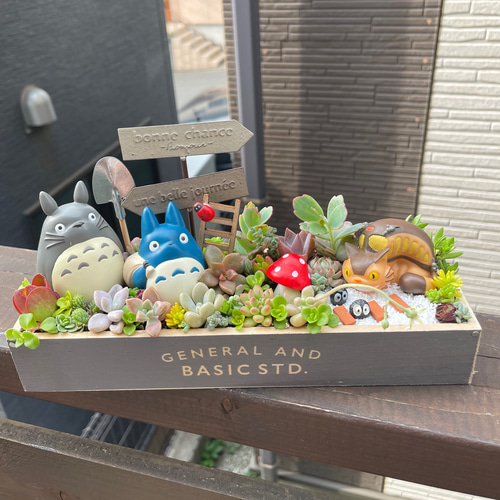 受注制作箱庭風多肉植物寄せ植え 多肉植物 まぁちゃん 通販