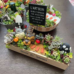 値下げしました♪♪★★箱庭風❤️★寄せ植え★このまま飾れます★多肉植物★★ 受注制作 ゲート箱庭風多肉植物寄せ植え その他インテリア雑貨
