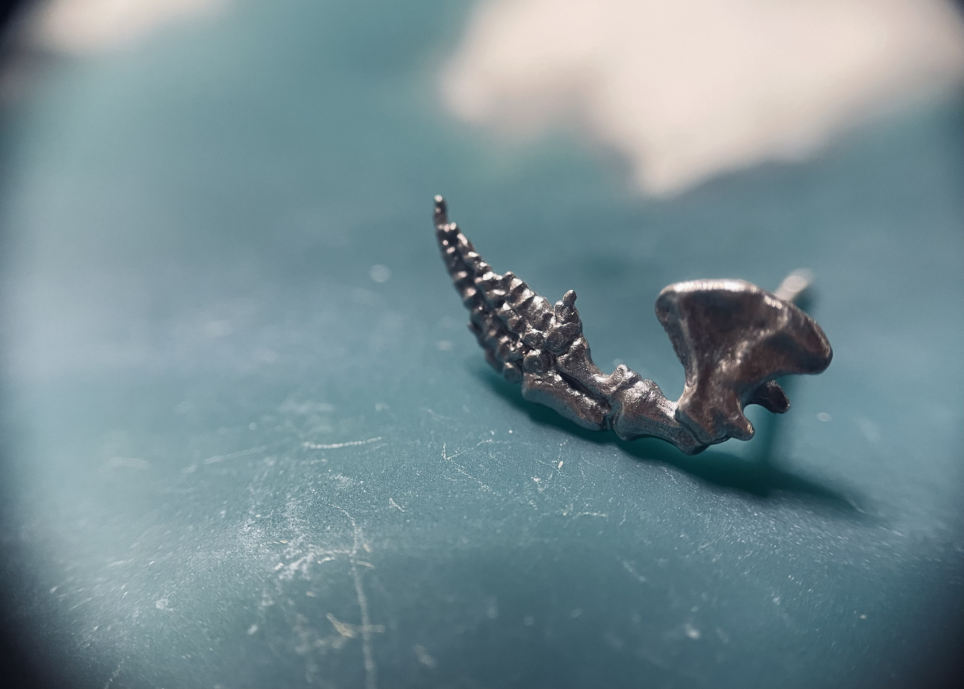 【片ピアス】イルカ-小さな鰭骨-