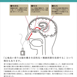 【復活】和のクラッシクパルファン　翡翠の泉（ひすいのいずみ）10mlor15ml　モダンシプレ　ベルガモット　ジャスミン 9枚目の画像