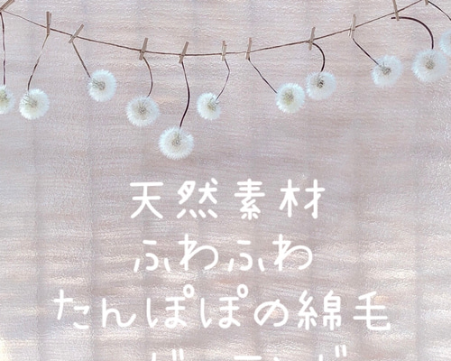 【専用】たんぽぽの綿毛 60輪 ＊ 加工済み ふわふわ天然素材 ドライフラワー たんぽぽの綿毛 20輪 ＊ 加工済み ふわふわ 天然素材 タンポポ
