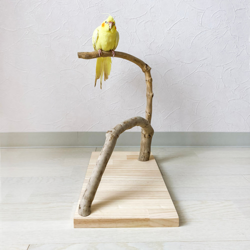 天然木 鳥さん用 高い 止まり木 スタンド 高さ94センチ Amazon.co.jp: