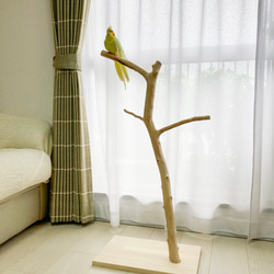 【流木の止まり木】鳥 大型バードスタンド 高さ約85cm ツリー型　インコ止まり木 9枚目の画像