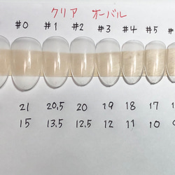 【ネイルチップ37】チークマグネットと押し花リングジェルネイル 2枚目の画像