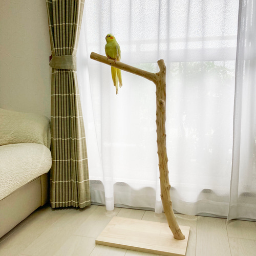 流木art ஐ鳥の止まり木 流木の止まり木】高さ約83cm！大型 鳥 インコ シンプルな止まり