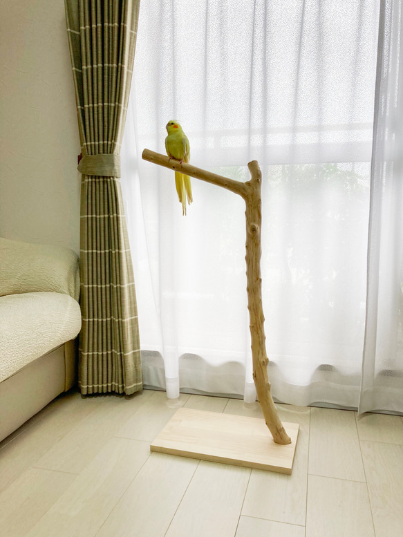 【流木の止まり木】高さ約83cm！大型 鳥 インコ シンプルな止まり木 8枚目の画像