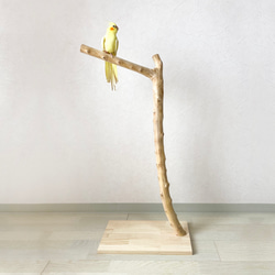 【流木の止まり木】高さ約83cm！大型 鳥 インコ シンプルな止まり木 1枚目の画像