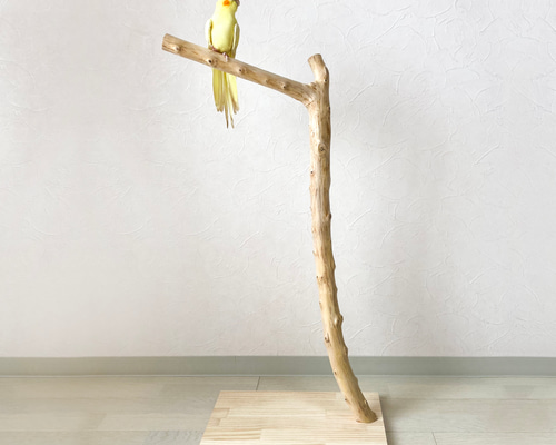 流木art ஐ鳥の止まり木 流木の止まり木】高さ約83cm！大型 鳥 インコ シンプルな止まり