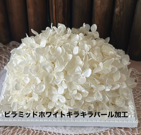 とにかく綺麗❣️ピラミッドホワイトキラキラパール加工アジサイ