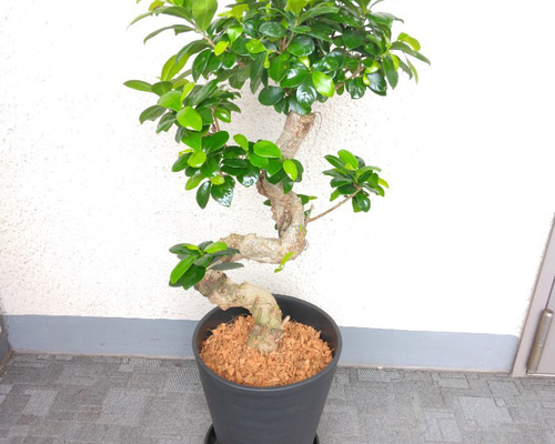 56b870c0c869bd14a46b6669aeee5a