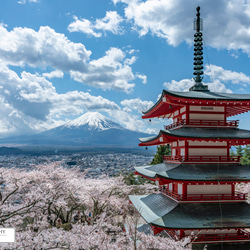 【送料無料】A4～A0版アート絶景写真「山梨県 - 新倉山浅間神社の桜と富士山」 1枚目の画像