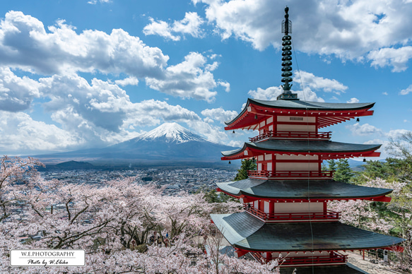 【送料無料】A4～A0版アート絶景写真「山梨県 - 新倉山浅間神社の桜と富士山」 1枚目の画像