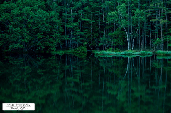 【送料無料】A4～A0版アート絶景写真「長野県 - 新緑の御射鹿池」 1枚目の画像