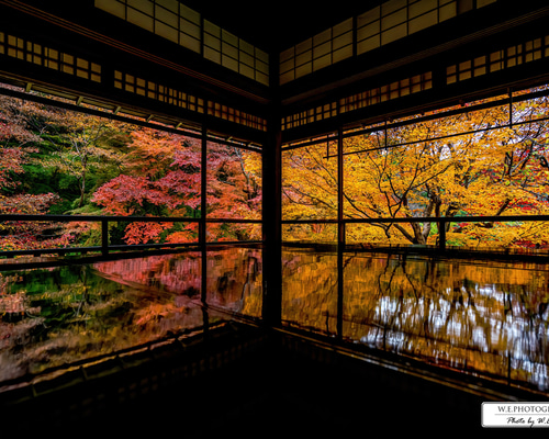 油絵・風景画　京都　瑠璃光院　紅葉 油絵・風景画 京都 瑠璃光院 紅葉