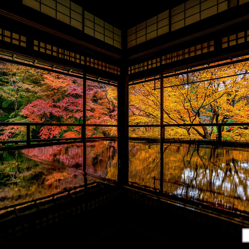 油絵・風景画　京都　瑠璃光院　紅葉 油絵・風景画 京都 瑠璃光院 紅葉 瑠璃光院 紅葉