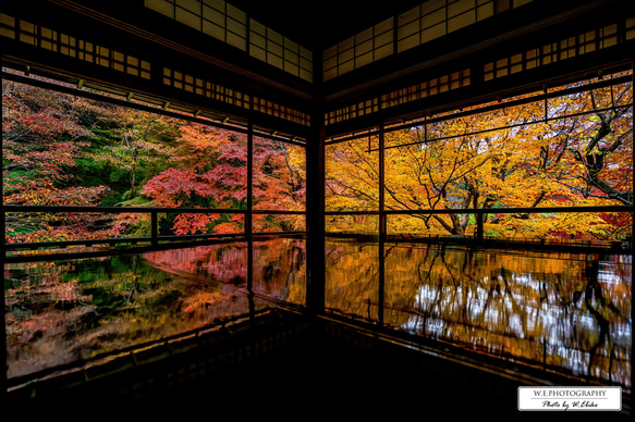 送料無料】A4～A0版アート絶景写真「京都府 - 瑠璃光院の紅葉」 写真