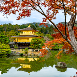 写真集　古書　寺　景色 bcd0086c4e7afd88f10bbccd964ef1