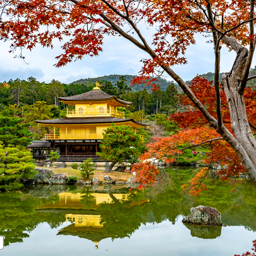 CBA CBH 専用背面デザインシート】 和風 寺社 仏閣 風景 景色