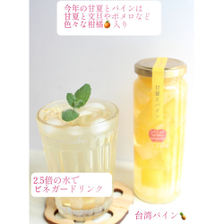 カラダに優しい贈り物！誕生日などにも彩り綺麗なピクルスギフト3本セット　豆・野菜・パイン 5枚目の画像