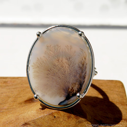 デンドリティック アゲートリング / Dendritic Agate Ring 1 6枚目の画像