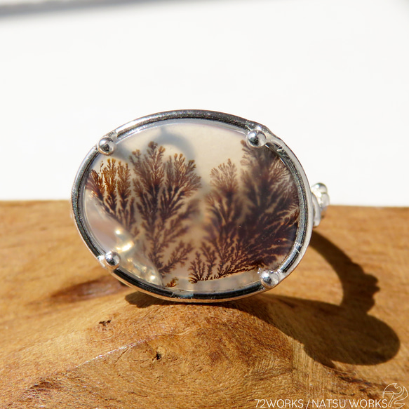 デンドリティック アゲートリング / Dendritic Agate Ring 4 6枚目の画像