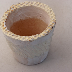 陶器製（2.5号ポット相当）多肉植物の欲しがる植木鉢 NSSc-イエロー-6762 2枚目の画像