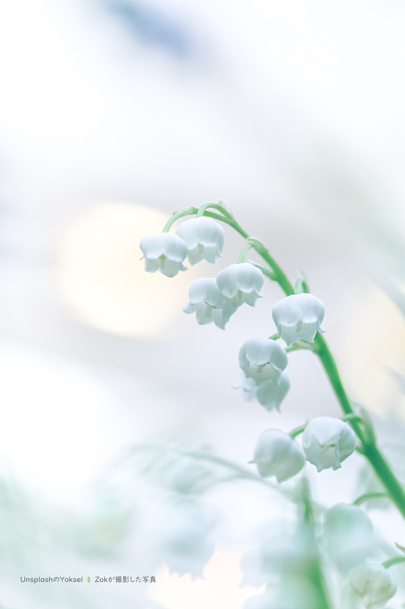 LILY OF THE VALLEY  -スズラン-　Room Fragrance(ルームフレグランス)　ディフューザー 2枚目の画像