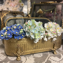 ミニョネット・ミニビスクドール❤︎勿忘草ちゃん その他人形 A-C