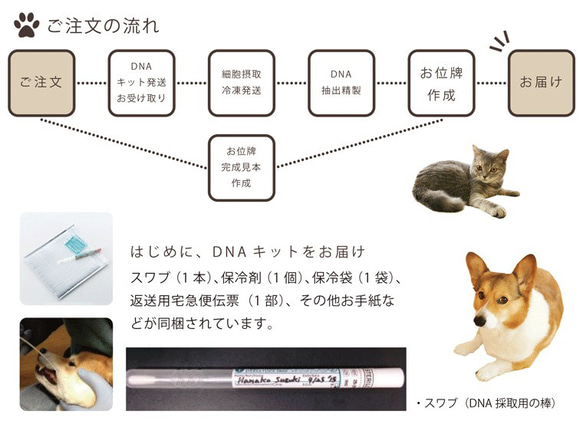 ペット 位牌 クリスタル 【DNA stock assist】虹のかけ橋 ホログラム入り 【 大切なあの子のDNAを保存 7枚目の画像