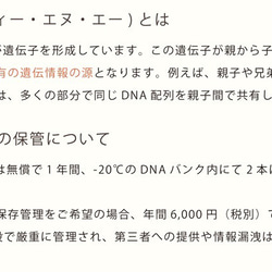 ペット 位牌 クリスタル 【DNA stock assist】虹のかけ橋 ホログラム入り 【 大切なあの子のDNAを保存 10枚目の画像