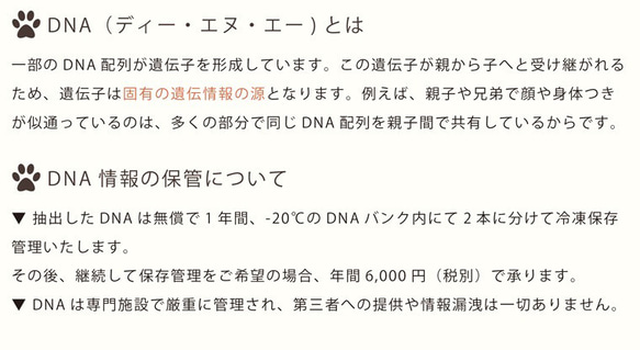 ペット 位牌 クリスタル 【DNA stock assist】虹のかけ橋 ホログラム入り 【 大切なあの子のDNAを保存 10枚目の画像