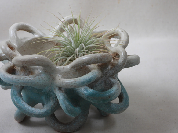 海色陶製植木鉢(w) 12枚目の画像