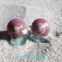 鮭魚粉色螺旋貝殼和海草金繼耳環 第1張的照片