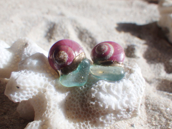 鮭魚粉色螺旋貝殼和海草金繼耳環 第4張的照片