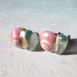 鮭魚粉色螺旋貝殼和海草金繼耳環 第7張的照片