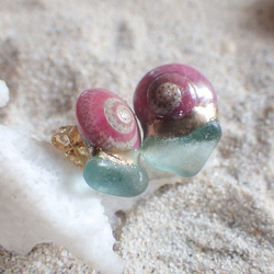 鮭魚粉色螺旋貝殼和海草金繼耳環 第3張的照片