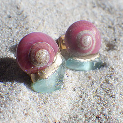 鮭魚粉色螺旋貝殼和海草金繼耳環 第5張的照片