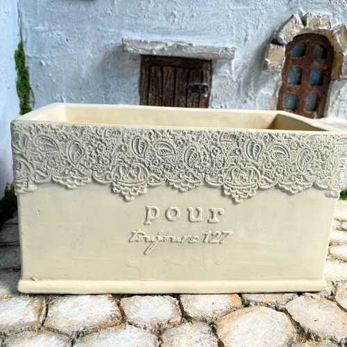 レースポット 寄せ植え 韓国苗 多肉植物 プレゼント 母の日 多肉植物