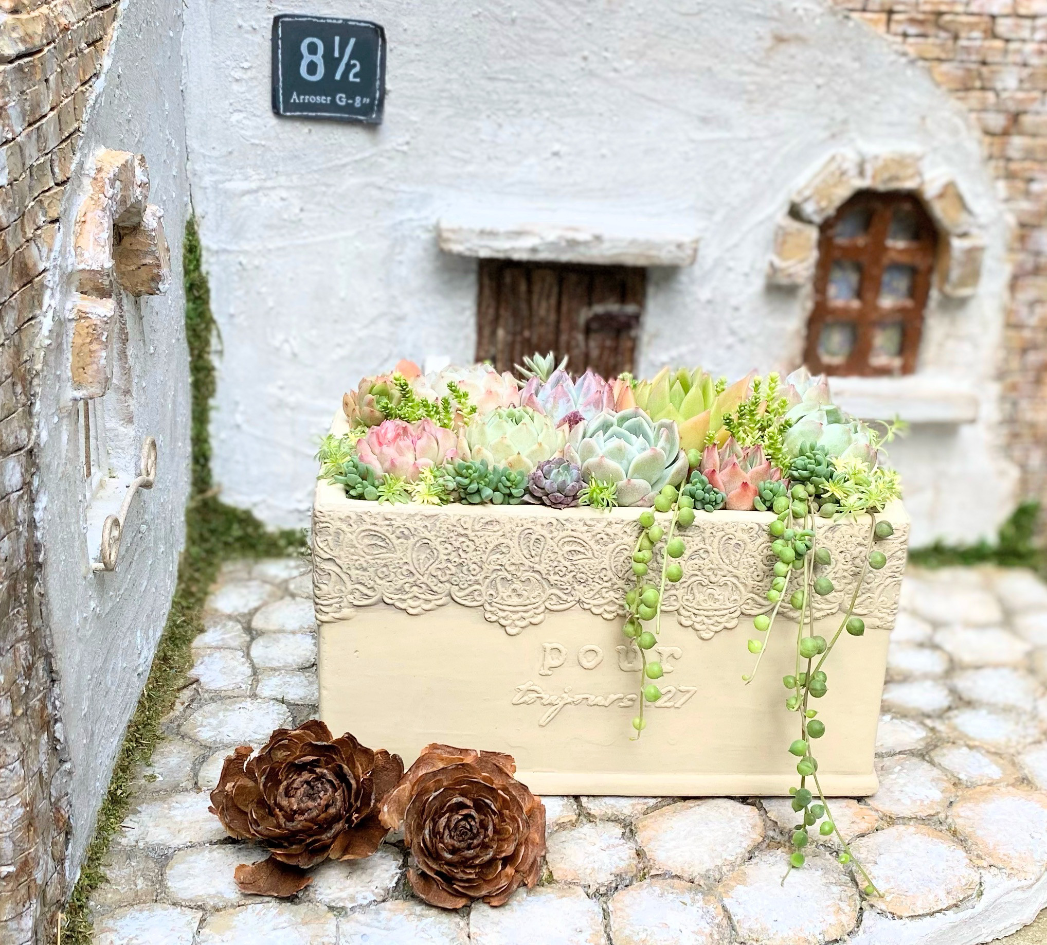 多肉植物　韓国苗　寄せ植え　ゴブレット